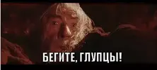 бежим.webp
