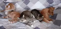 20241129_160041.webp
