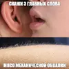 7055fb9777cb5fa7a0c28d29895570f4.webp