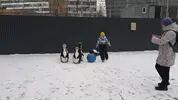 CAP620303034620802225_compressed1733563503009.webp