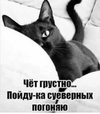 Screenshot_2024-12-13-13-59-54-644_com.vkontakte.android-edit.webp