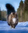 1734378074077.webp