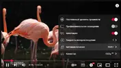 1734536296522.webp 1734536296522.webp