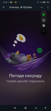 изображение_2024-12-19_215641824.png