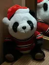 jWQs57tfpWE.webp