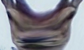 qwewqe213.webp