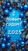 Изображение WhatsApp 2025-01-01 в 09.52.44_96723e75.jpg