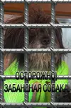 1736000993038.webp