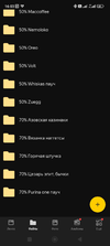 Screenshot_2025-01-07-16-03-20-571_ru.yandex.disk.webp
