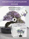 Скриншот 09-01-2025 162621.webp