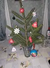 IMG_20250105_124856_788.webp
