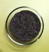 picea_colorado_seeds_2016.webp