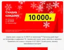 11.webp