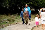 930911_original.webp
