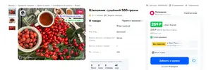 шиповник.webp