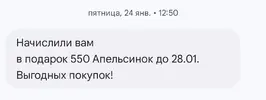 IMG_20250219_163505.jpg