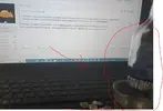 11.webp