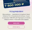 11.webp