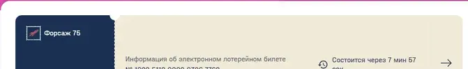 11.webp