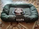 AiAKE1InIi8.webp