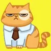 18.webp
