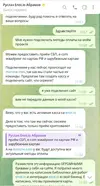 переписка-енот.webp