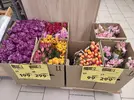 1000202665.webp