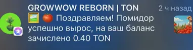 1742141011275.webp