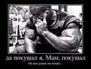 cbb65cba948b253187c5003cc68dd5ad_fitted_630x484.webp