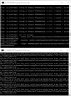 втф.webp