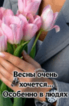 20250330_220104.gif