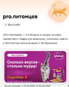 1000208035.webp