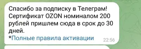 Screenshot_20250404-231246.webp
