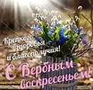 IMG-20250413-WA0000.webp