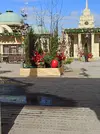IMG_20250415_131424.webp