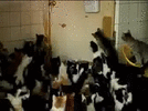 1000054679.gif