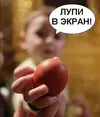 IMG_20250420_112918_649.webp