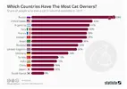 cat.webp