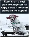 IMG-20250502-WA0018.webp