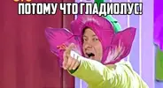 OQMfbLJgQ68.webp
