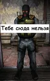 1485767709141943526.webp