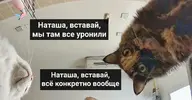 1747324340438.webp