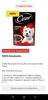 Магнит5.webp