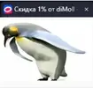 Скриншот 27-05-2025 115729.webp