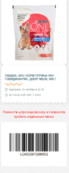 ф6.webp
