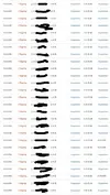 11Снимок.webp 11Снимок.webp