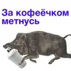 images (3).webp