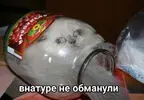 1749445244755.webp