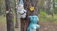 коллекция.webp
