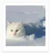 Screenshot_2025-06-17-21-17-00-199.webp Screenshot_2025-06-17-21-17-00-199.webp